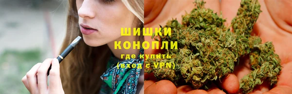 соль ск Няндома