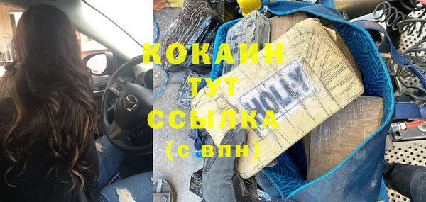 соль ск Няндома
