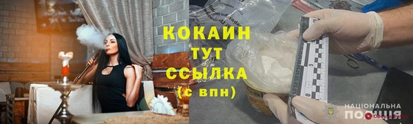 эйфоретик Бикин