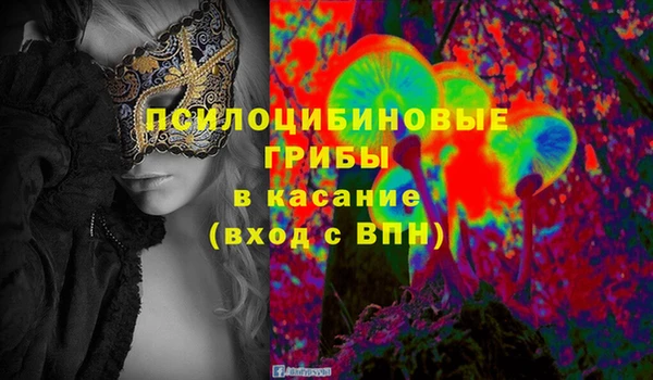 соль ск Няндома