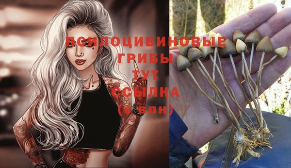 дурь Беслан