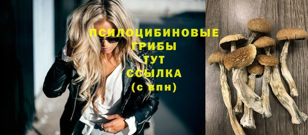 соль курить ск Новодвинск