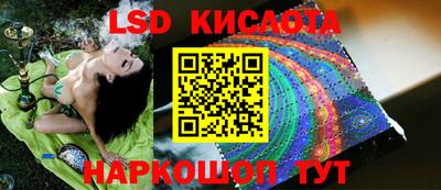 марки nbome Гусев