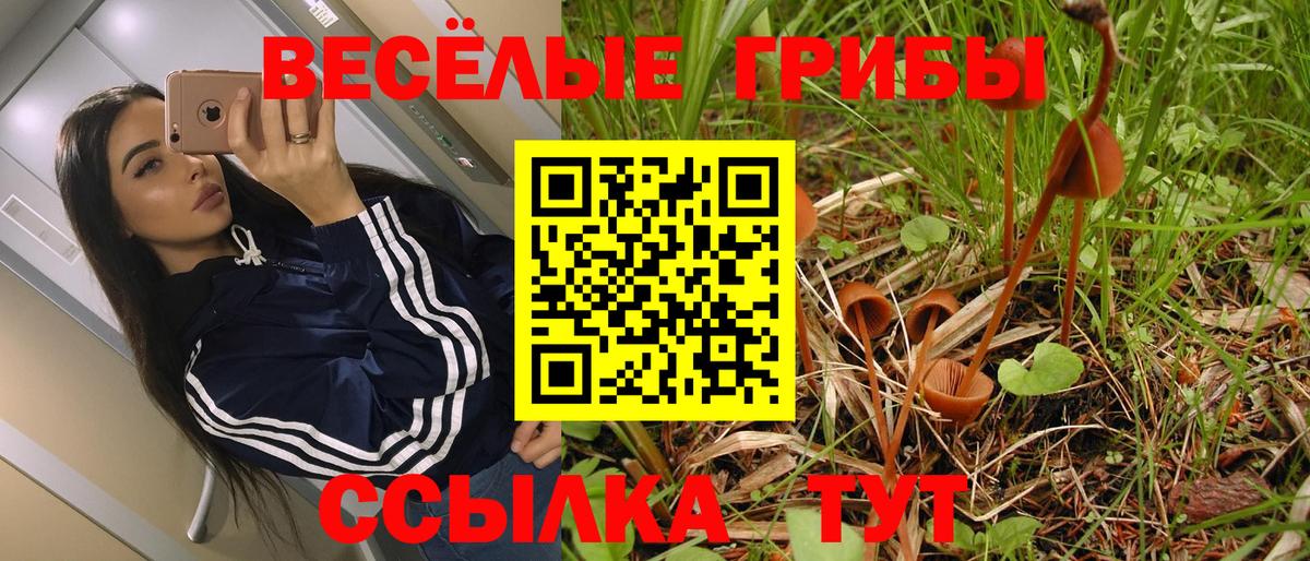 Галлюциногенные грибы ЛСД  Вход с VPN  Кириши  Псилоцибиновые грибы Cubensis 