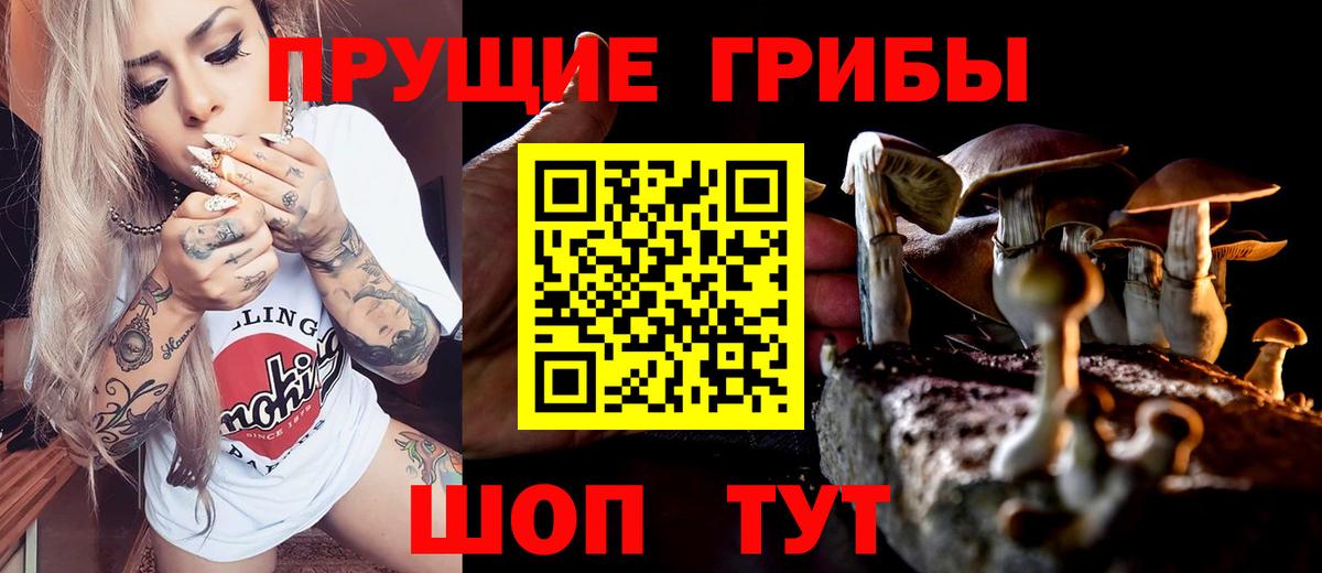 Галлюциногенные грибы Psilocybine cubensis Кириши